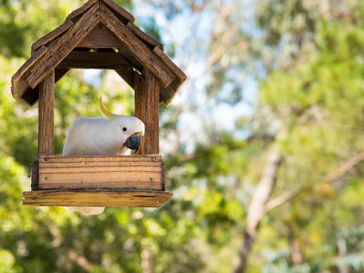 Ashling Villa Hepburn Springs Dış mekan fotoğraf